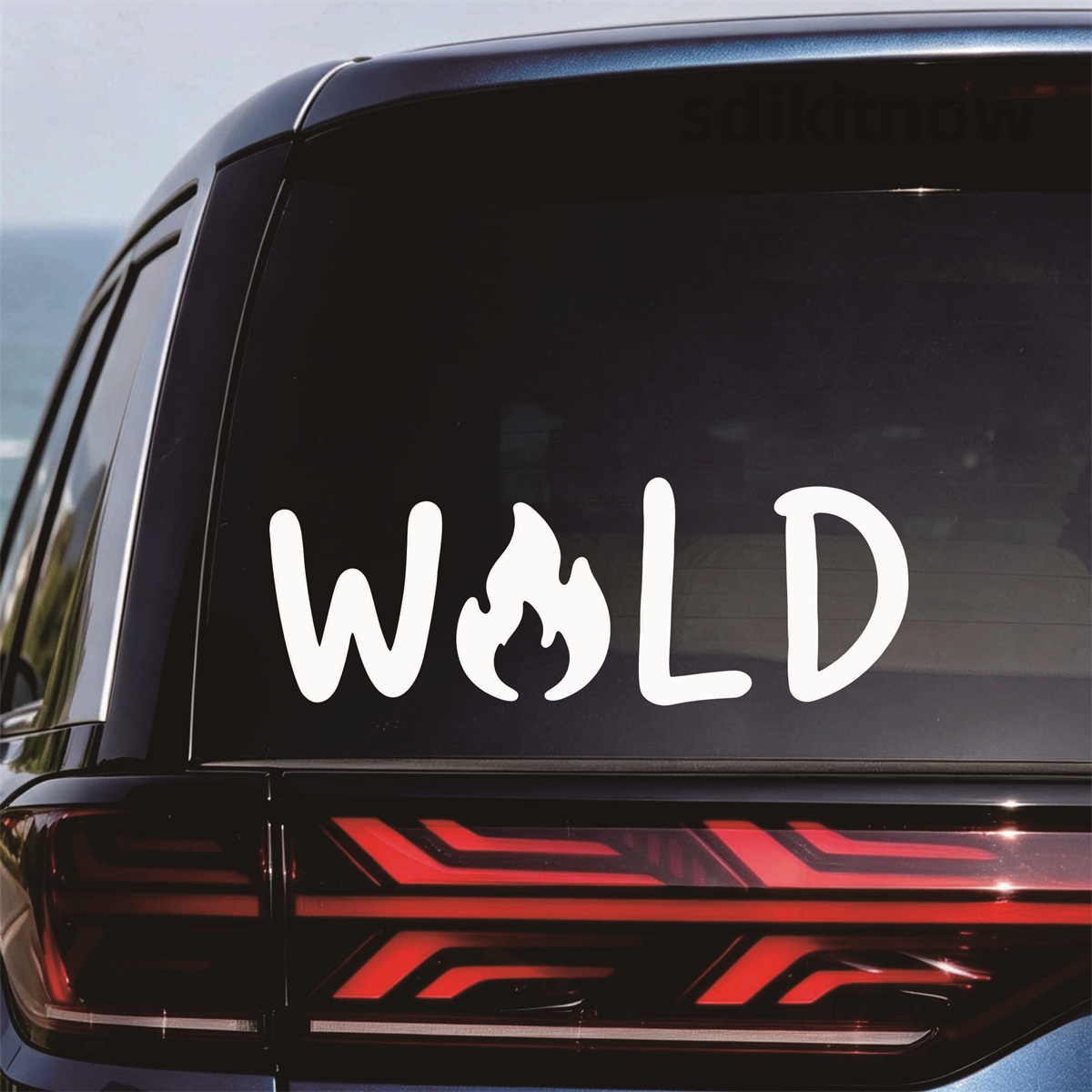 Wild Fire Camp Vinil Araba Çık - Outdoor Adventure Words incelemesi ve fiyatı