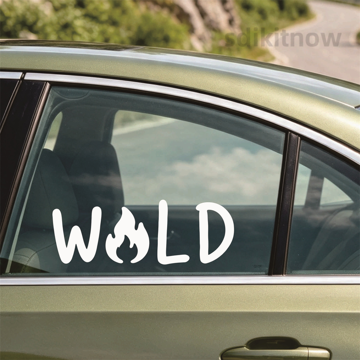 Wild Fire Camp Vinil Araba Çık - Outdoor Adventure Words incelemesi ve fiyatı